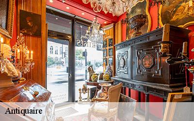 Antiquaire Pyrénées-Atlantiques