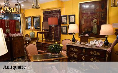 Antiquaire Pyrénées-Atlantiques