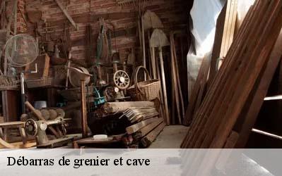 Débarras de grenier et cave  64600