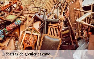 Débarras de grenier et cave  64600